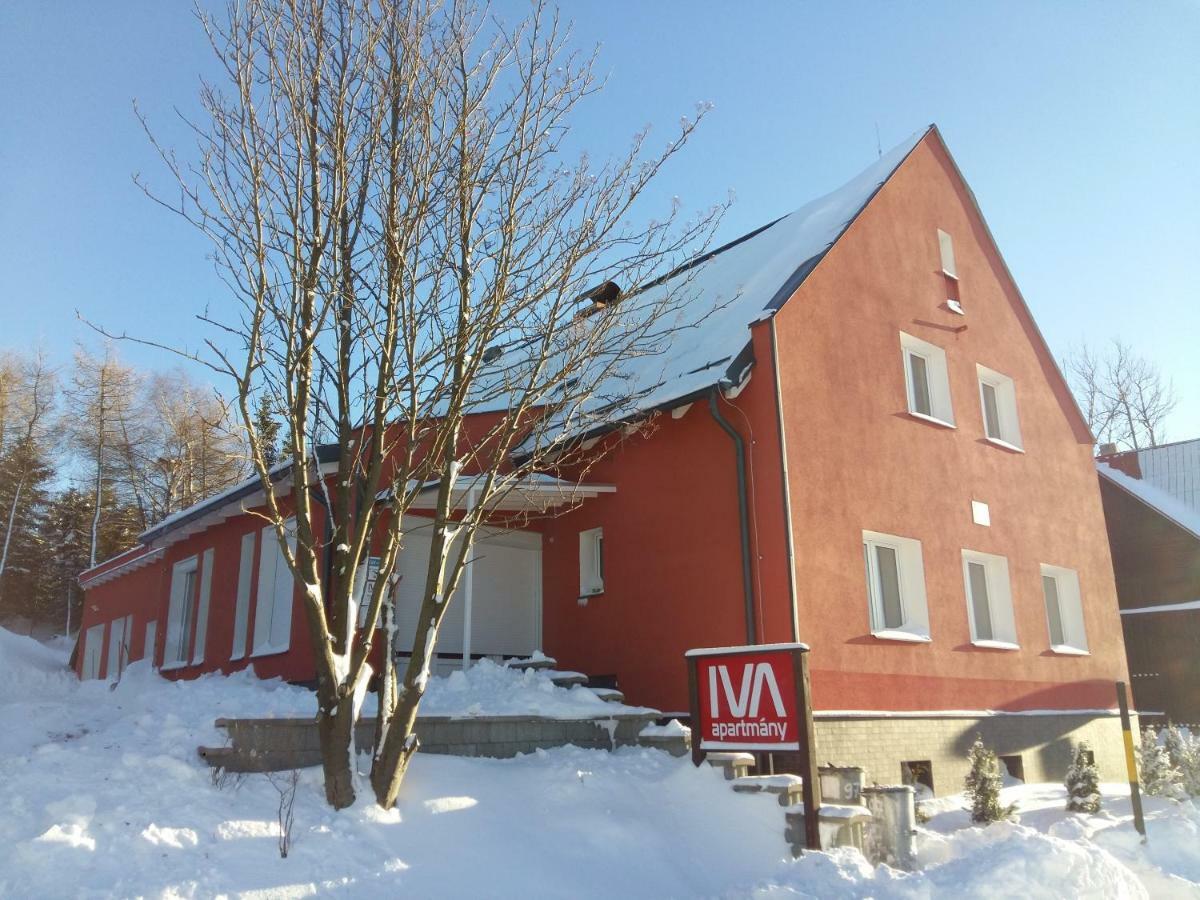 Aparthotel Ferienhaus Iva - Klinovec Loučná pod Klínovcem Zewnętrze zdjęcie